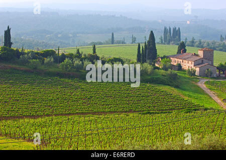 Chianti, Monti dans le Chianti, Toscane,paysage, Province de Sienne, Toscane, Italie, Banque D'Images