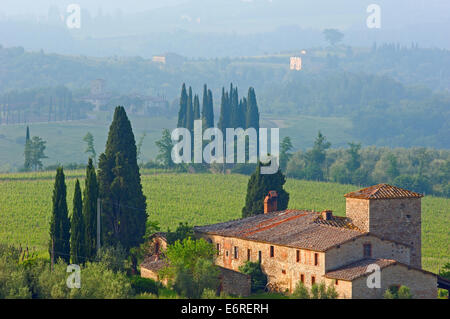 Chianti, Monti dans le Chianti, Toscane,paysage, Province de Sienne, Toscane, Italie, Banque D'Images