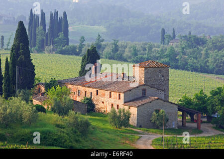 Chianti, Monti dans le Chianti, Toscane,paysage, Province de Sienne, Toscane, Italie, Banque D'Images