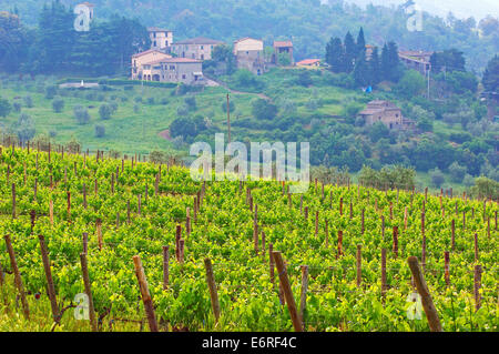 Chianti, Monti dans le Chianti, Toscane,paysage, Province de Sienne, Toscane, Italie, Banque D'Images