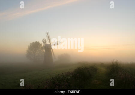 Moulin de Drainage Hardley, rivière Yare, Norfolk Broads, juin. À l'aube. Banque D'Images