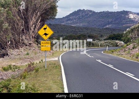 La faune australienne de Kangaroo signalisation routière et de la faune sur un voyage sur la route entourée de montagnes et d'arbres Banque D'Images