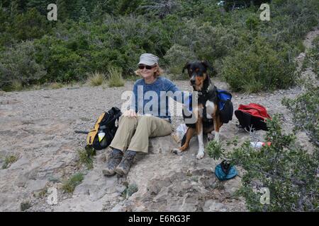 Senior Citizen et mon chien Luc au sommet de printemps d'arbres en sentier de Sandia Mtns NM -USA Banque D'Images