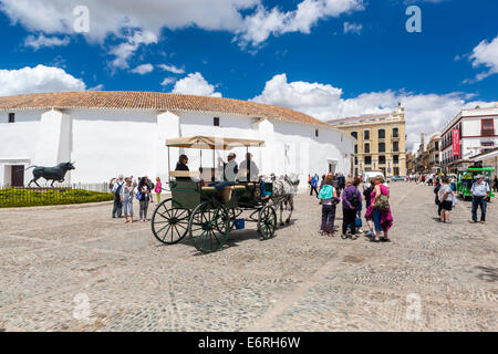 Cabine à chevaux, taureaux, Plaza Teniente Arce, Ronda, province de Malaga, Andalousie, Espagne, Europe. Banque D'Images