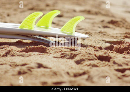 Détail de l'ailerons de surf green posé sur le sable humide d'une plage Banque D'Images