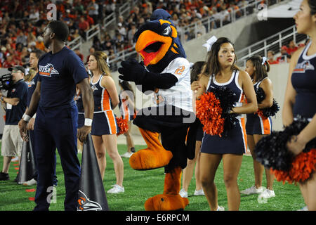 Houston, Texas, USA. 29 août, 2014. La mascotte de l'UTSA Roadrunners pendant le 1er semestre d'un NCAA football match entre l'Université de Houston Cougars et l'UTSA Roadrunners à TDECU Stadium à Houston, TX le 29 août, 2014. Credit : Trask Smith/ZUMA/Alamy Fil Live News Banque D'Images