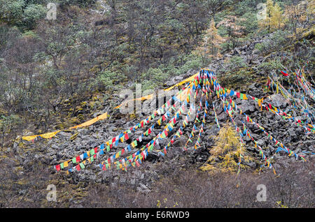 Drapeaux de prière tibetains sur un versant de montagne à Huanglong, Site du patrimoine de l'Unesco, dans la province de Sichuan de Chine Banque D'Images