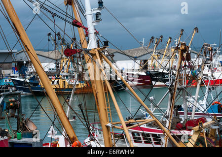 Brixham flotte de pêche en port, de la plage, du chalutier,FAISCEAU Beam Trawlers, South Devon, Angleterre, anglais, pêche, float, grand, holida Banque D'Images