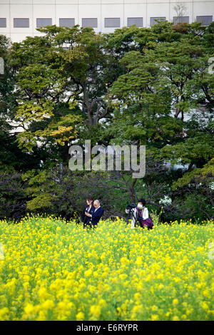 Les gens à prendre des photos, la saison des cerisiers en fleur à Hama-rikyu gardens, parc Hamarikyu, Tokyo, Japon, Asie Banque D'Images