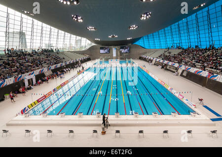 Queen Elizabeth Olympic Park, London, UK, 30 août 2014. Vue de la piscine comme ParalympicsGB athlètes revenir à l'Aquatics centre de Londres pour la toute première fois depuis les Jeux Paralympiques de 2012. Crédit : Stephen Chung/Alamy Live News Banque D'Images