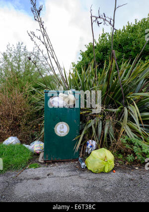 Poubelle débordant de détritus éparpillés autour dans un parc public à Blackpool, Lancashire Banque D'Images