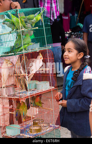 Une jeune fille se penche sur les perruches en vente au marché du dimanche de Tlacolula de Matamoros, Mexique. Le marché de la rue régionale attire des milliers de vendeurs et consommateurs de l'ensemble de la Valles centrales de Oaxaca. Banque D'Images