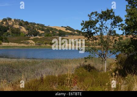 Le parc du comté de Joseph D. Grant avec le lac Halls Valley (artificiel), Santa Clara CA Banque D'Images