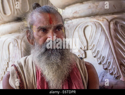Un sadhu hindou (saint homme), avec de la peinture traditionnelle et une barbe blanche, dans un temple à Jaipur, Inde, au cours de l'Holi Festival. Banque D'Images