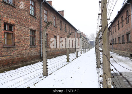 Caserne résidentielle à l'Auschwitz-Birkenau Memorial de l'holocauste nazi en Pologne Banque D'Images