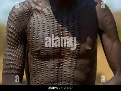 Homme Topossa à Scarifications sur son corps, Kangate, vallée de l'Omo, Ethiopie Banque D'Images