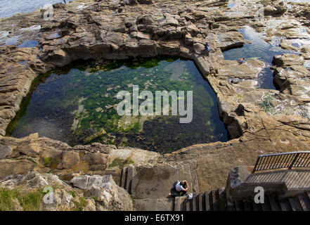 Une piscine de marée créé au milieu des formations rocheuses à la fin du xixe siècle. Brown's Bay, Cullercoats, Whitley Bay Banque D'Images