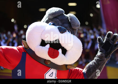 Los Angeles, CA, c.-à-d. USA. 30e Août, 2014. 30 août 2014 : Fresno State Bulldogs et de l'USC Trojans, le Coliseum de Los Angeles, CA. Le fresno State Bulldog bombes photo une bande shot. Crédit : Peter Renner and Co/ZUMA/ZUMAPRESS.com/Alamy fil Live News Banque D'Images