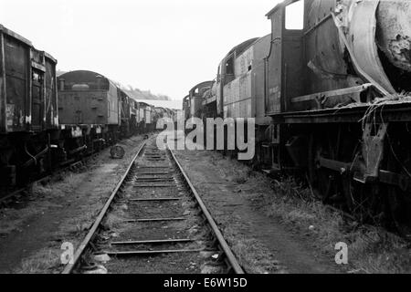 Ex rebutée British Railways locomotives à vapeur à woodhams ferrailles barry island au Pays de Galles en 1974 Banque D'Images