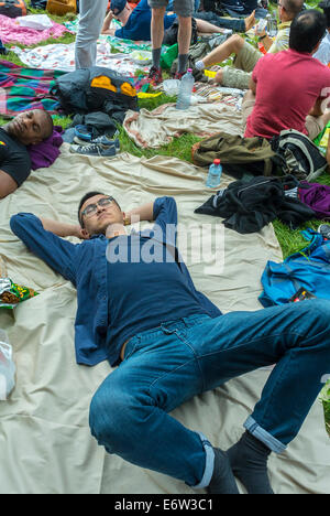 Paris, France, Chinois dormant, faisant la sieste au pique-nique de l'ONG LGBT dans « bois de Vincennes', Parcs urbains Banque D'Images