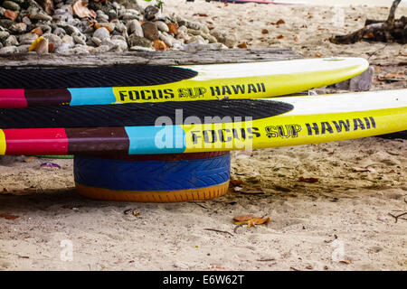 Colorful stand-up paddle boards reste sur pneus peints sur une plage tropicale à Sainte-Croix, îles Vierges américaines, l'ouest de la ville. Banque D'Images