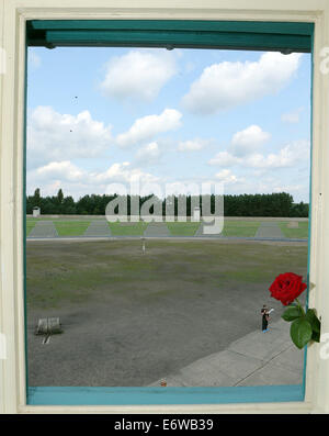 (140901) -- Francfort (Allemagne), 1 septembre 2014 (Xinhua) -- l'ancien camp de concentration de Sachsenhausen est vu à travers une fenêtre d'une tour à Oranienburg, près de Berlin, Allemagne, le 21 août 2014. Le camp de concentration de Sachsenhausen fut construite en Oranienburg à environ 35 km au nord de Berlin en 1936 et emprisonné à propos de 220 000 personnes entre 1936 et 1945. Le site a servi comme un mémorial et musée d'apprendre l'histoire dans le cadre authentique, y compris les vestiges de bâtiments et d'autres reliques du camp. (Xinhua/Luo Huanhuan) Banque D'Images