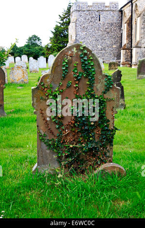 Un couvert de lierre pierre tombale dans le cimetière à Hickling, Norfolk, Angleterre, Royaume-Uni. Banque D'Images