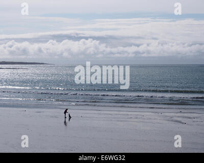 Dog Walker sur la plage près de Port St Mary, à l'île de Man Banque D'Images