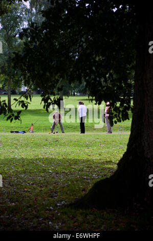 Le croquet,croquet, déposer, grève, stick, pantalons, les loisirs, le plaisir, l'activité, park, green, Mallet, hat, pelouse, défi, rouge, boule, Banque D'Images