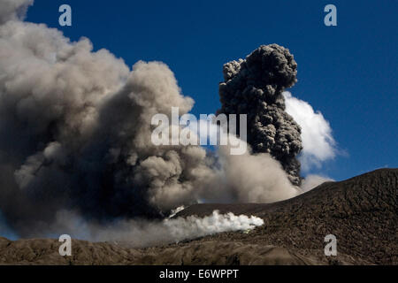 Volcan Tavurvur dans la journée, Rabaul, East New Britain, Papouasie-Nouvelle-Guinée, du Pacifique Banque D'Images