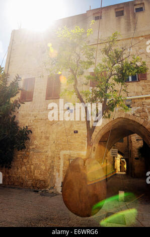 Orange Tree flottante par Ran Morin dans la vieille ville de Jaffa, Israël Banque D'Images