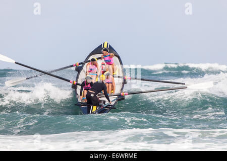 Surf voile compétition, concours, jour de sauveteurs les géants, Piha beach, North Island, New Zealand Banque D'Images