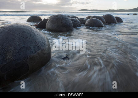 Moeraki Boulders, concrétions sphériques, stone Ball, île du Sud, Nouvelle-Zélande Banque D'Images