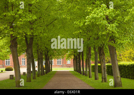 Allée des tilleuls, Ploen jardins du château, Holsteinische Schweiz, Schleswig-Holstein, Allemagne Banque D'Images