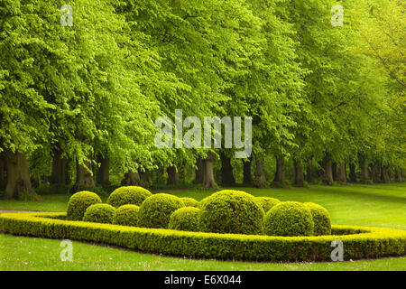 Allée des tilleuls, Ploen jardins du château, Holsteinische Schweiz, Schleswig-Holstein, Allemagne Banque D'Images