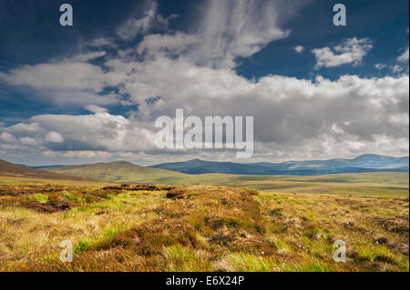 Bogland au début de juin près de Sally Gap, Montagnes de Wicklow, comté de Wicklow, Irlande Banque D'Images