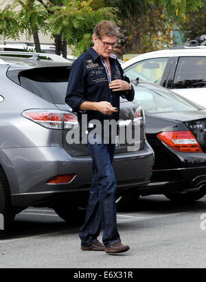 Ancien 'Baywatch' star David Hasselhoff montre un tonique physique à l'âge de 61 ans, comme il l'shops at Bed Bath & Beyond avec petite amie Hayley Roberts. Hasselhoff a été repéré de changer sa chemise dans un terrain de stationnement public situé dans Studio City avec : David Hasse Banque D'Images