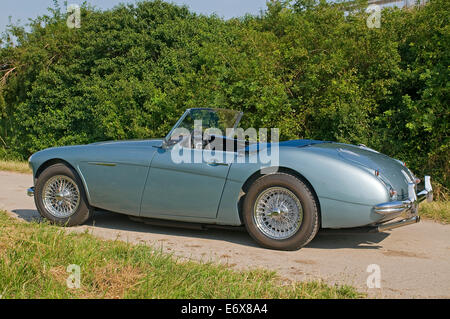 Austin-Healey 3000, construit en 1959 Banque D'Images