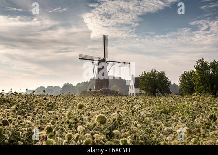 Pays-bas, Nuenen, Village de Vincent van Gogh. Moulin De Roosdonck, qui apparaît sur 7 dessins de Van Gogh. Banque D'Images