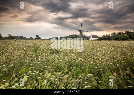 Pays-bas, Nuenen, Village de Vincent van Gogh. Moulin De Roosdonck, qui apparaît sur 7 dessins de Van Gogh. Banque D'Images