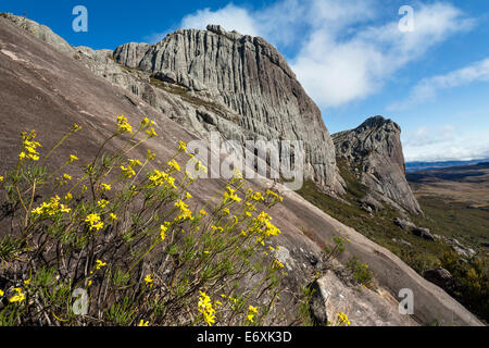 Chaîne de Montagnes de l'Andringitra, Parc National d'Andringitra, Madagascar, Afrique du Sud Banque D'Images