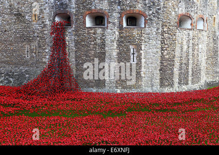 La Tour de Londres moat décorée de coquelicots rouges en souvenir de la PREMIÈRE GUERRE MONDIALE Banque D'Images