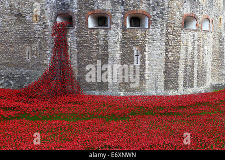 Tour de Londres moat décoré avec les coquelicots en souvenir du 100 e anniversaire de la PREMIÈRE GUERRE MONDIALE Banque D'Images