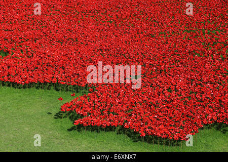 Tour de Londres moat décoré avec les coquelicots en souvenir du 100 e anniversaire de la PREMIÈRE GUERRE MONDIALE Banque D'Images