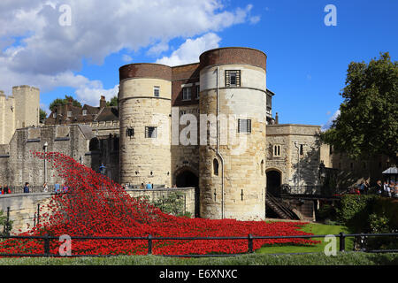 Tour de Londres moat décoré avec les coquelicots en souvenir du 100 e anniversaire de la PREMIÈRE GUERRE MONDIALE Banque D'Images