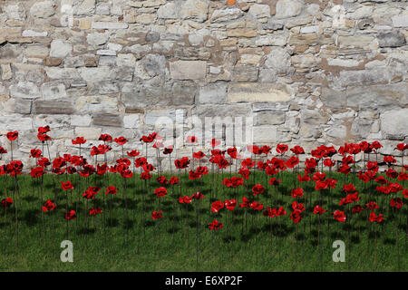 Tour de Londres moat décoré avec les coquelicots en souvenir du 100 e anniversaire de la PREMIÈRE GUERRE MONDIALE Banque D'Images