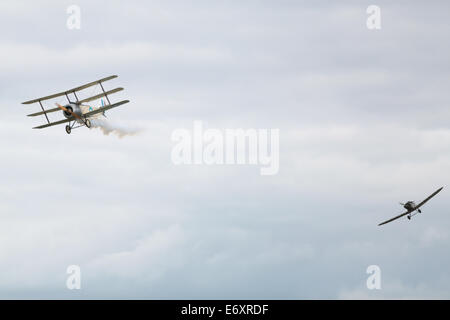 C'est une simulation de combat de chiens avec la Grande Guerre de l'équipe d'affichage à Shoreham Airshow 2014, l'aéroport de Shoreham, East Sussex, 2014. Ici un S Banque D'Images