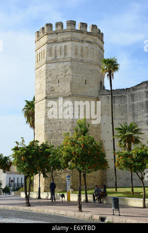 Alcázar de Jerez, Jerez de la Frontera, province de Cadiz, Andalousie, Royaume d'Espagne Banque D'Images