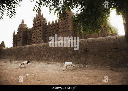 Grande Mosquée, Djenné, région de Mopti, au Mali Banque D'Images