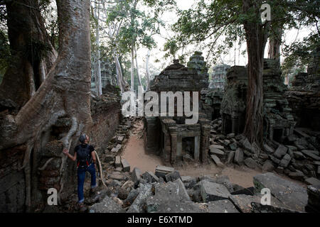 Ruine de Ta Prohm temple, banians, Parc archéologique d'Angkor, Siem Reap, Cambodge Banque D'Images